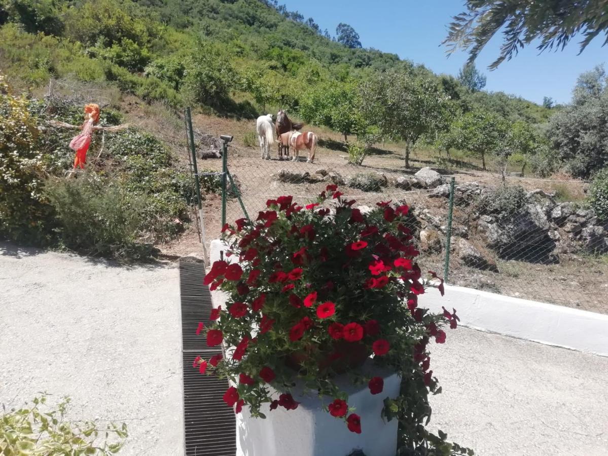 Casinha Da Lareira - Quintinha Dos Cavalos- Arruda Dos Vinhos Bagian luar foto