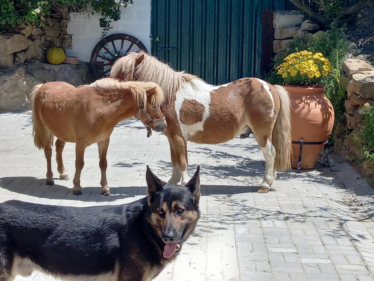 Casinha Da Lareira - Quintinha Dos Cavalos- Arruda Dos Vinhos Bagian luar foto