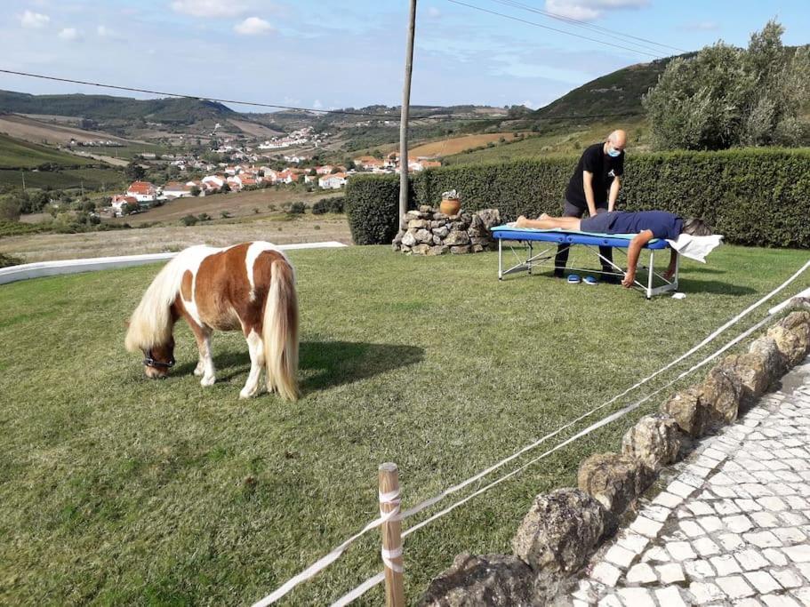 Casinha Da Lareira - Quintinha Dos Cavalos- Arruda Dos Vinhos Bagian luar foto