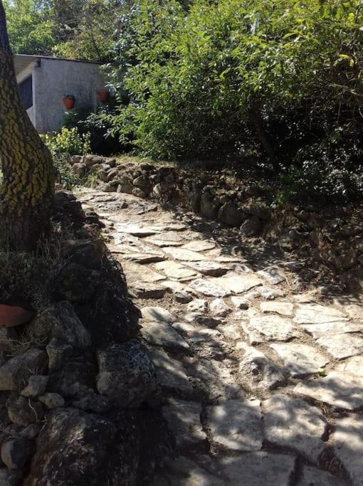 Casinha Da Lareira - Quintinha Dos Cavalos- Arruda Dos Vinhos Bagian luar foto